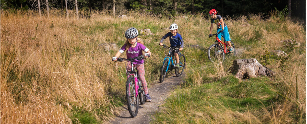 Dětská kola 24" - 7 až 9 let