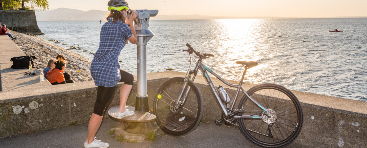 Dámská krosová kola 29"