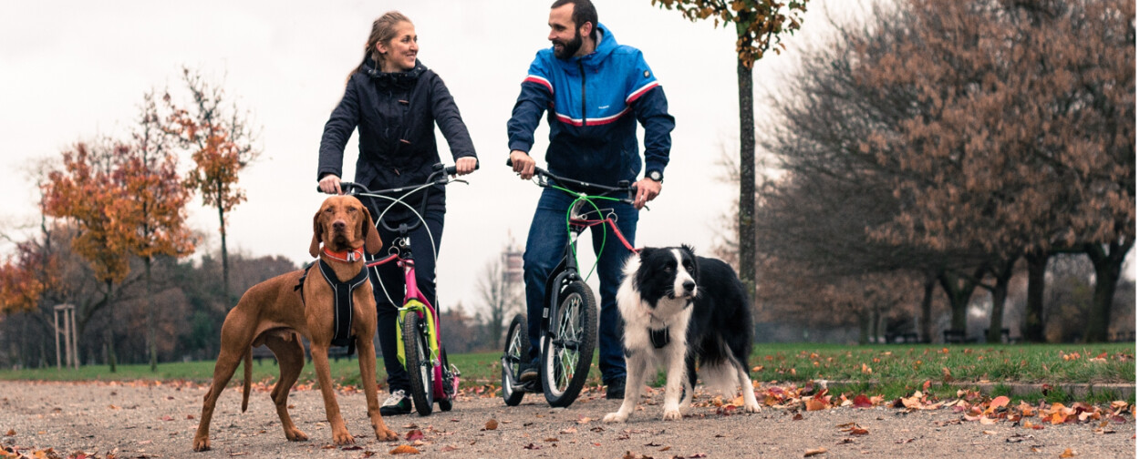 Koloběžky pro psí spřežení