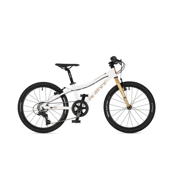 AUTHOR Cosmic 20 2026