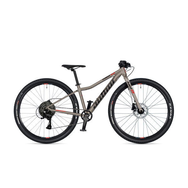 AUTHOR Limit 29 2026