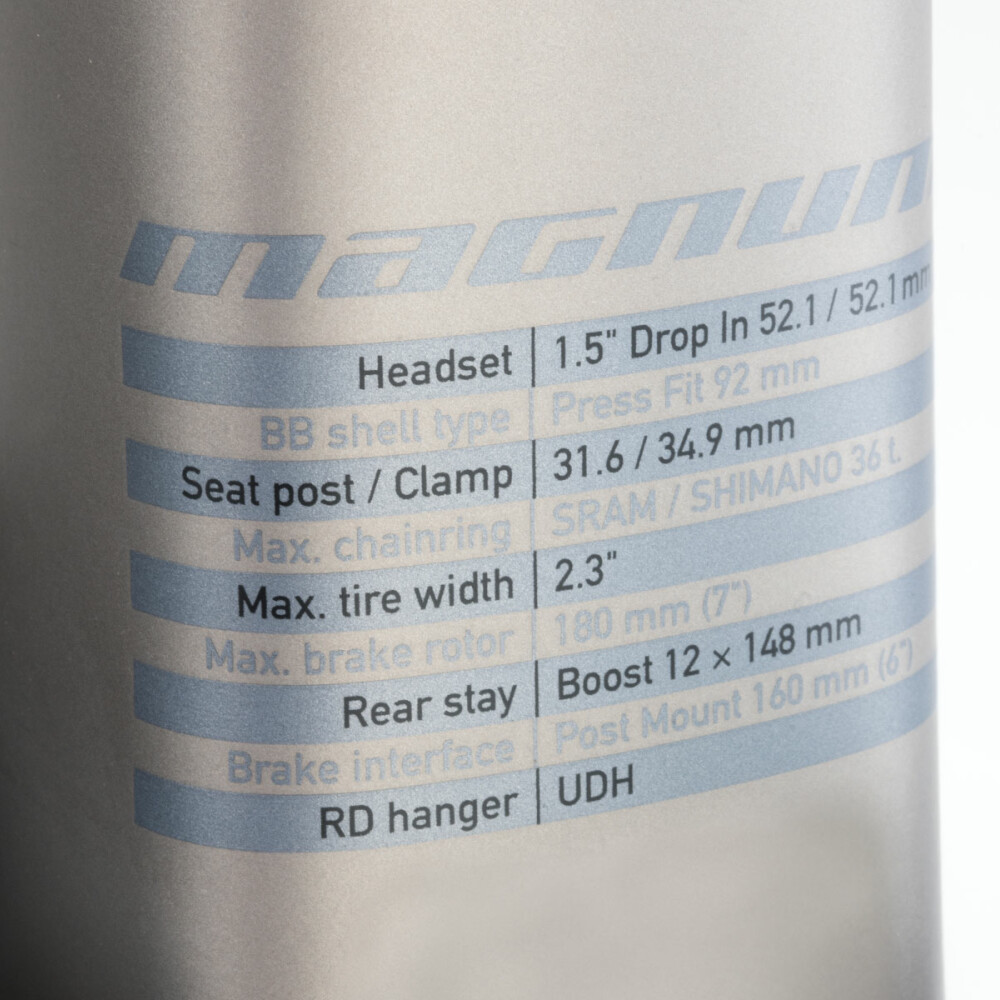 Magnum detail 02