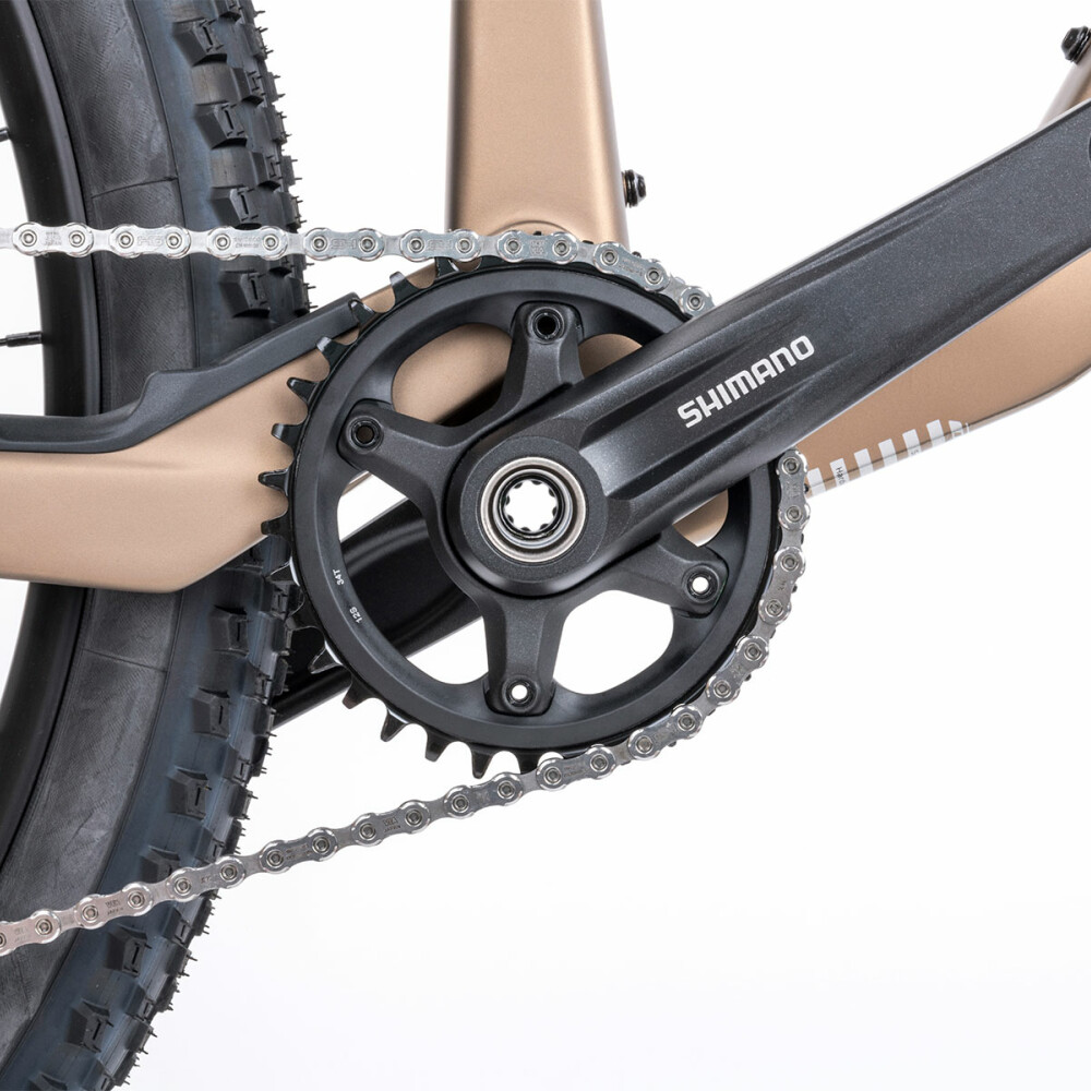 A-Ray 2.0 detail 15