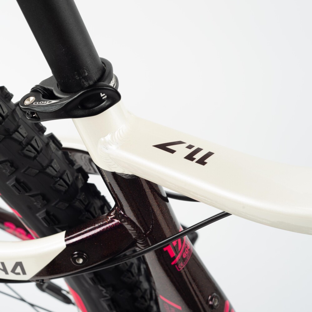 e-Fionna 11.7