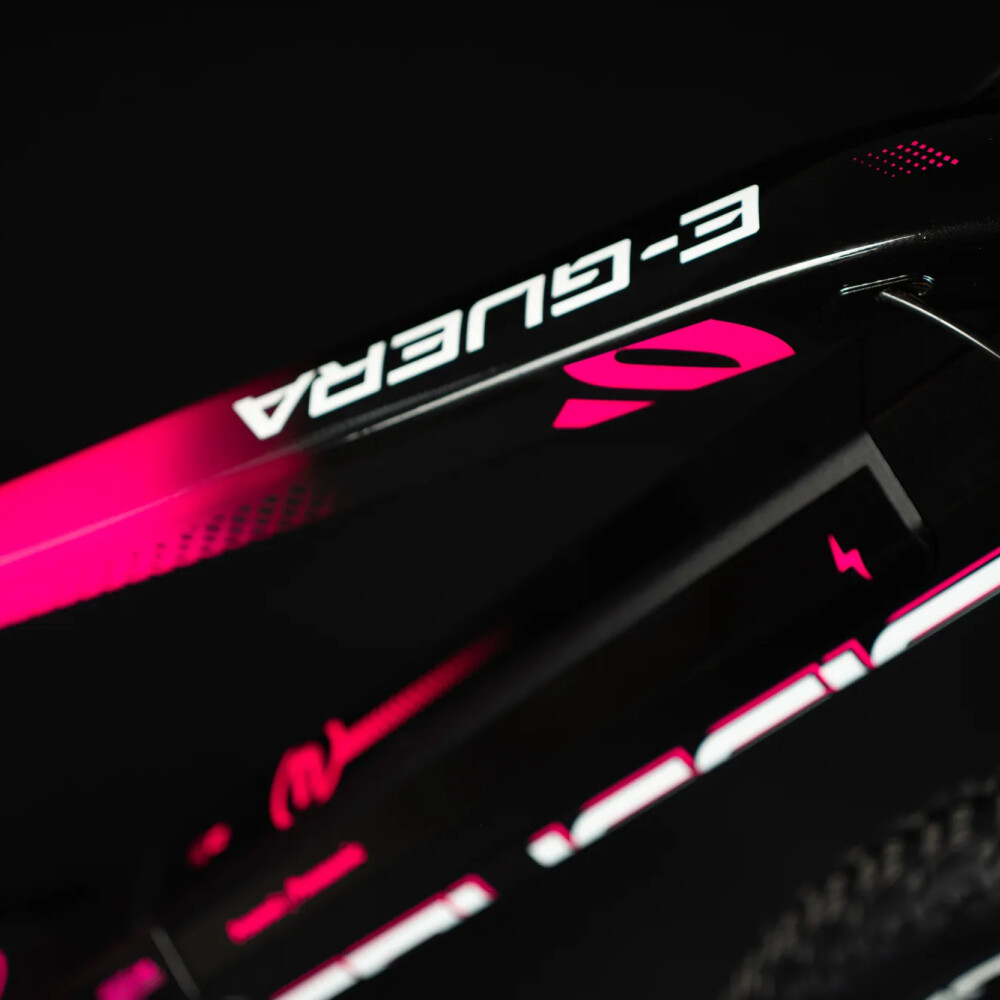 e-Guera 9.8-M
