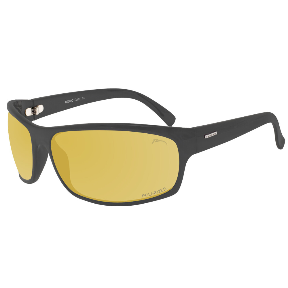 Polarizační sluneční brýle RELAX Arbe R2202D