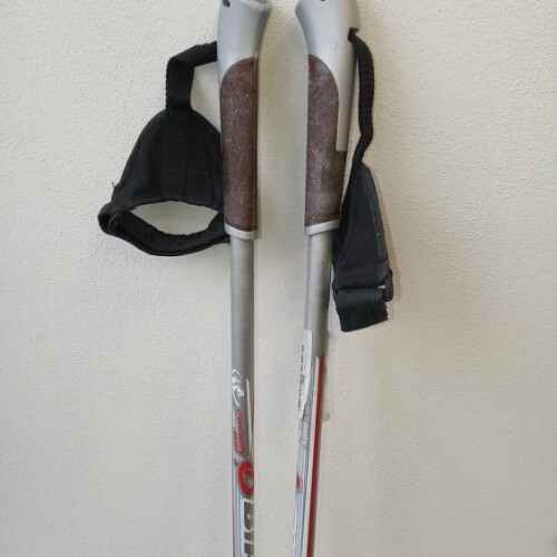 Sporten Birki 145 cm