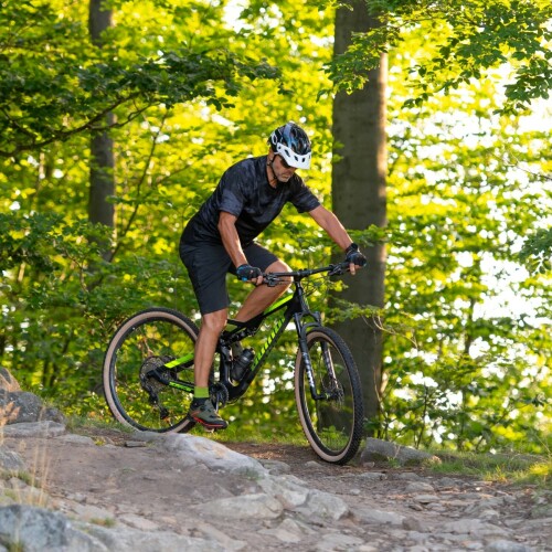 a-ray29team 02 viewde
