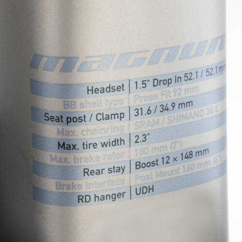 Magnum detail 02