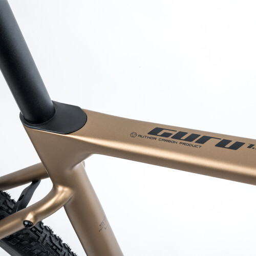 Guru 1.0 detail 01
