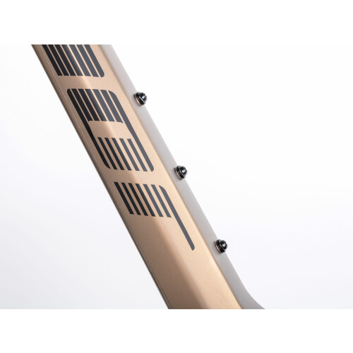 A-Ray 2.0 detail 23