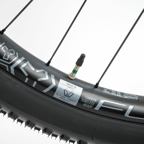 A-Ray Team detail 21