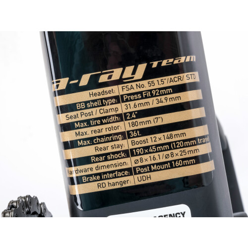 A-Ray Team detail 26