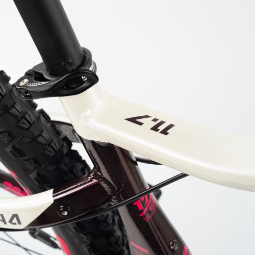 e-Fionna 11.7