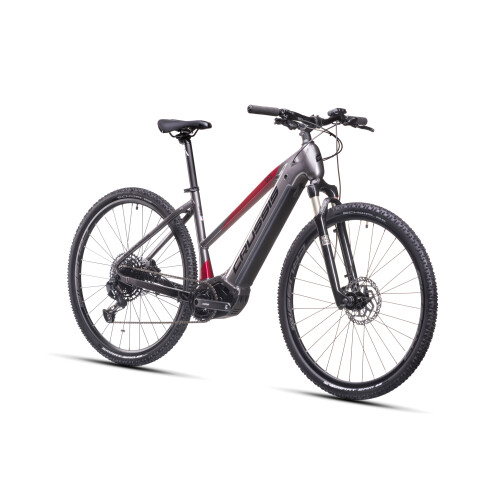 e-Cross low 9.10-(720 Wh)