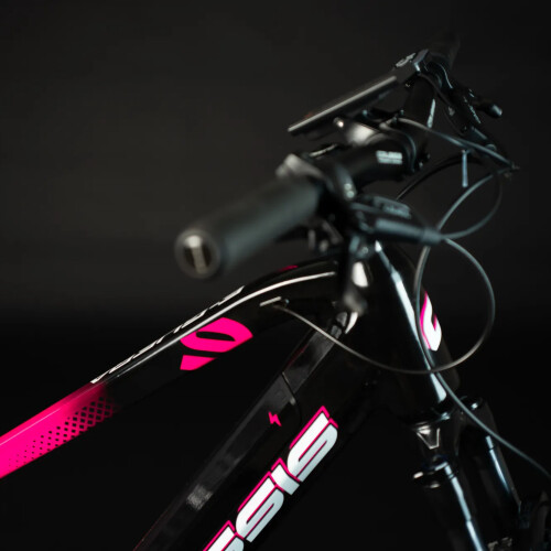 e-Guera 9.8-M