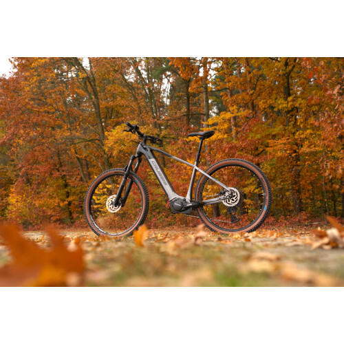 ONE-Largo 10.11-(715 Wh)