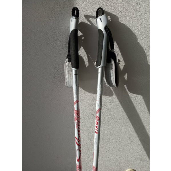 Salomon Siam 160 cm